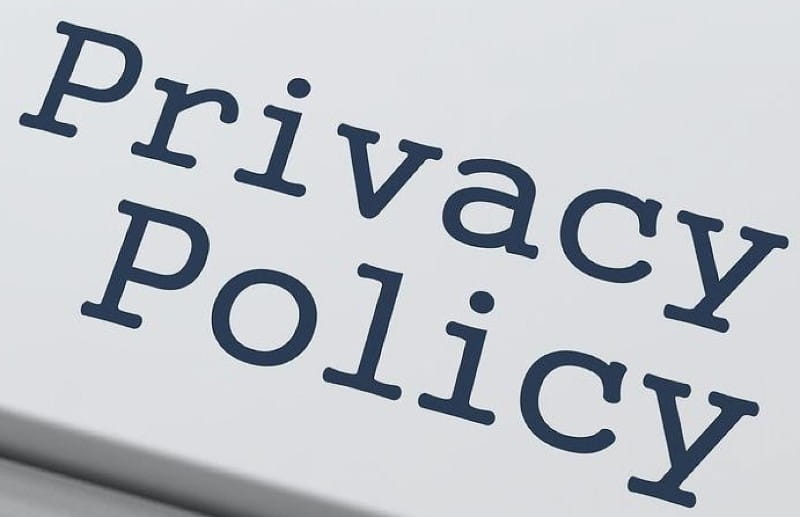 white background, blue text ' Privacy Policy'