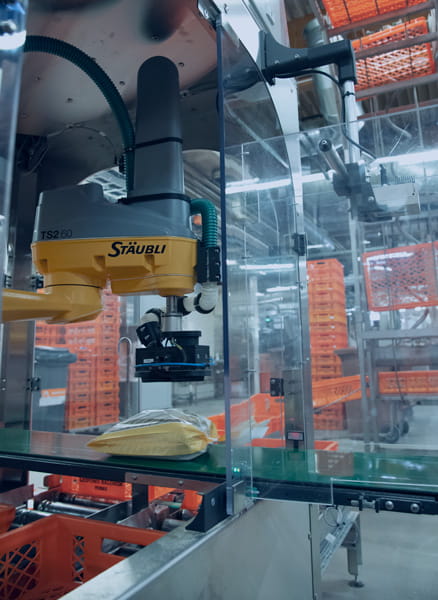 Basler Blaze camera used in bakery packing solution