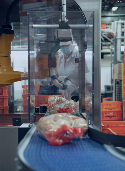 Basler Blaze camera used in bakery packing solution