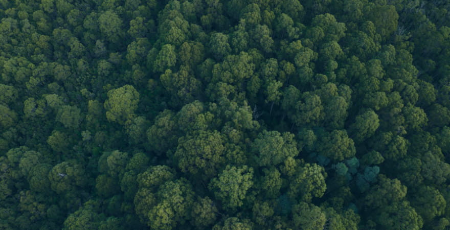 See what OEM Automatic are doing towards sustainability