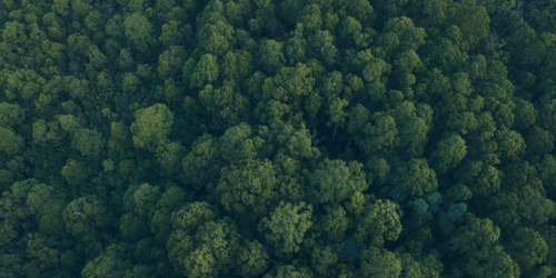 OEM Automatic sustainability work