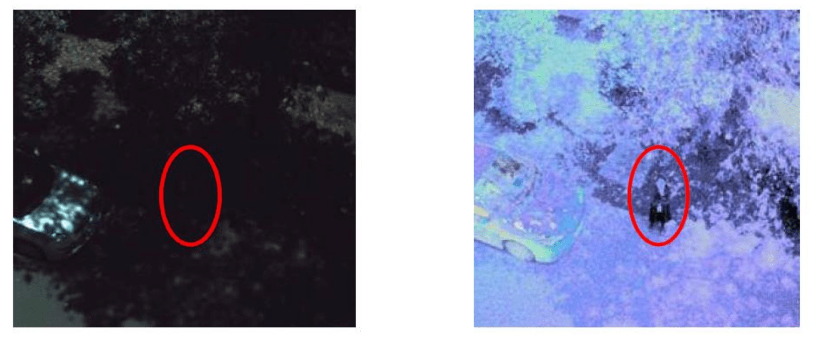 Machine Vision Imagery