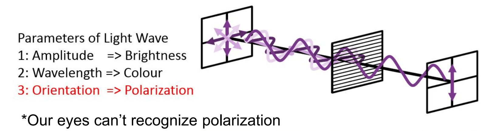 On-Sensor Polarised Technology