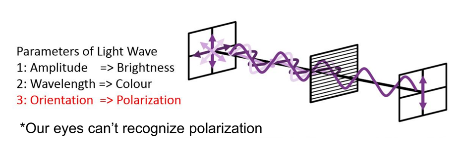 On-Sensor Polarised Technology