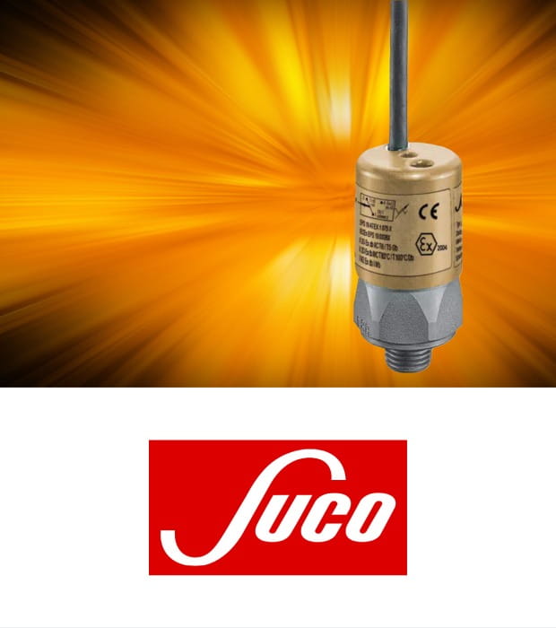 Suco portrait blog graphic
