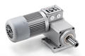Minimotor - PCE worm gear motor with planetary reduction