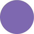 H 0,25/10-T, 0.25 x 10mm Ferrule, Violet