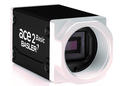 Ace 2 Basic GigE Camera, IMX392 1/2.3" CMOS, Mono