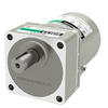Oriental Motor - 90mm 40W induction motor with inline gearbox