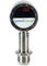 Anderson Negele EHEDG hygienic pressure sensor
