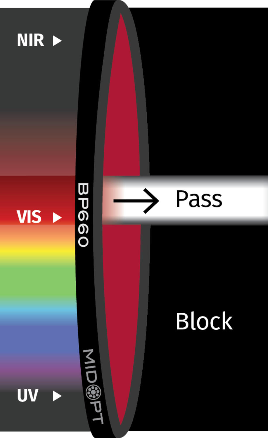 BP660.png
