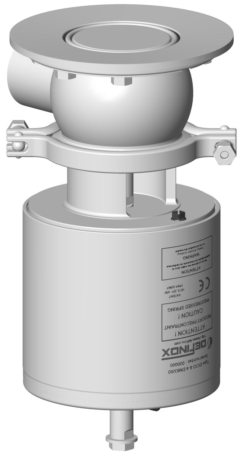 C - DCX3 FC rising.JPG