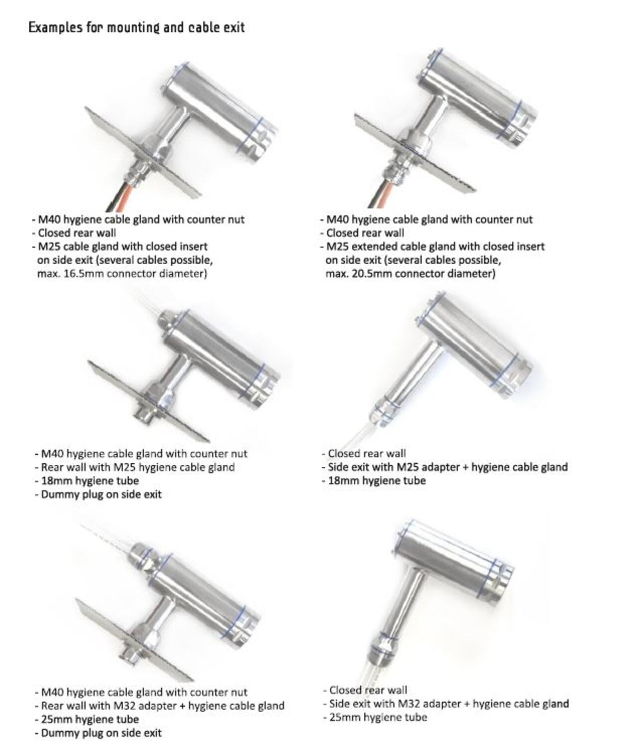 Dolphin examples.JPG