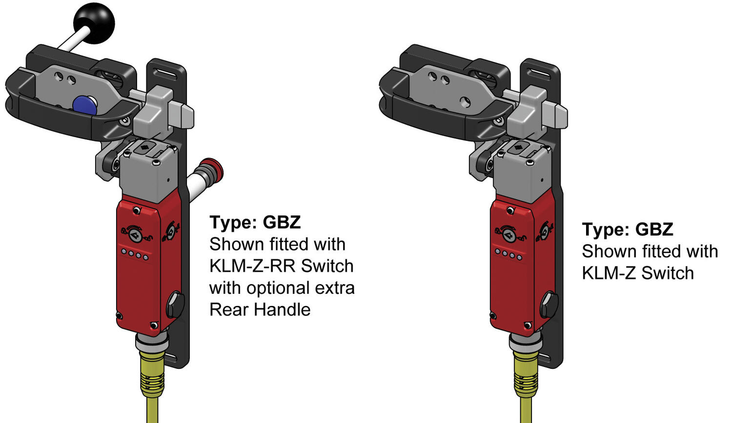 GBZ with KLM-Z Views LH.tif