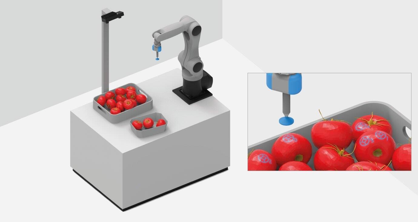 Item pick software example robotic picking tomatoes and placing in seperate bin