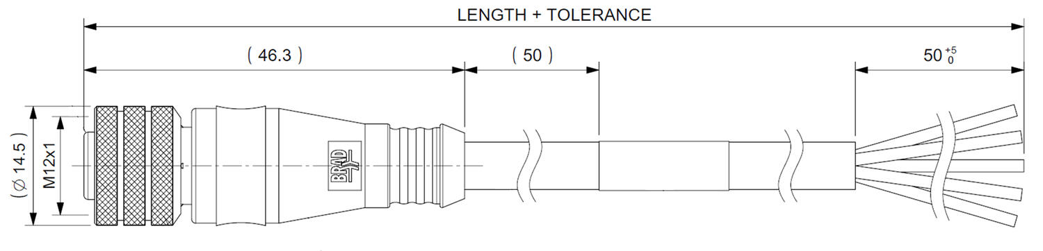 M12female_straight.tif