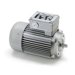 Minimotor AM series AC motor
