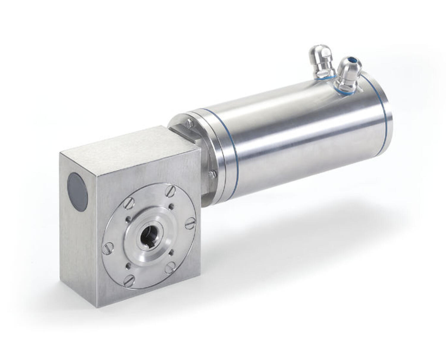 Minimotor XCFSS stainless steel worm gear motor