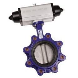 Lugged butterfly valve and spring return actuator