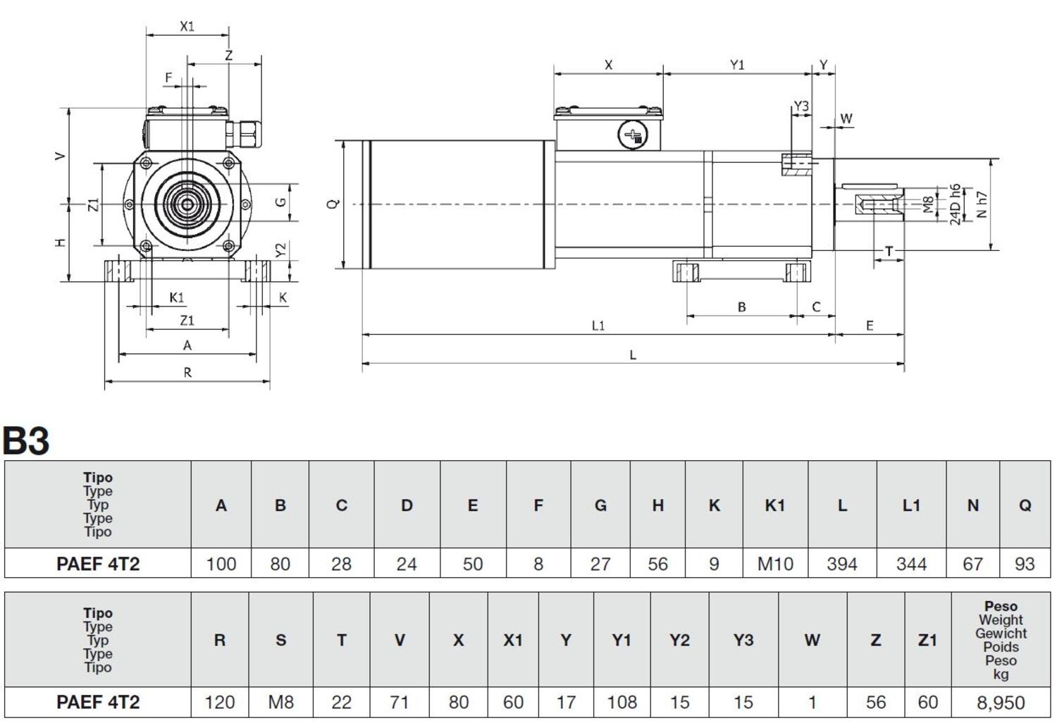 PAEF B3 dimensions