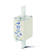pv-NH1-fuselink copia.tif