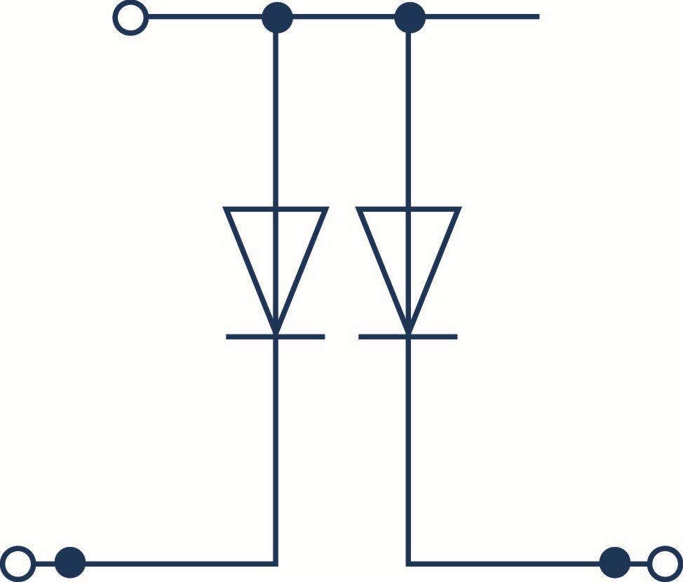 Circuit diagram with two diodes showing electrical connection