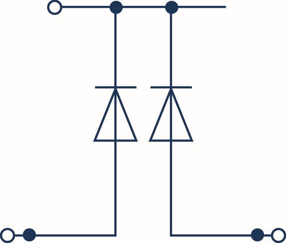 Wiring diagram with two diodes and connections for electrical components