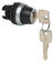 Revolving switch, key