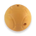 Shell_hero.tif
