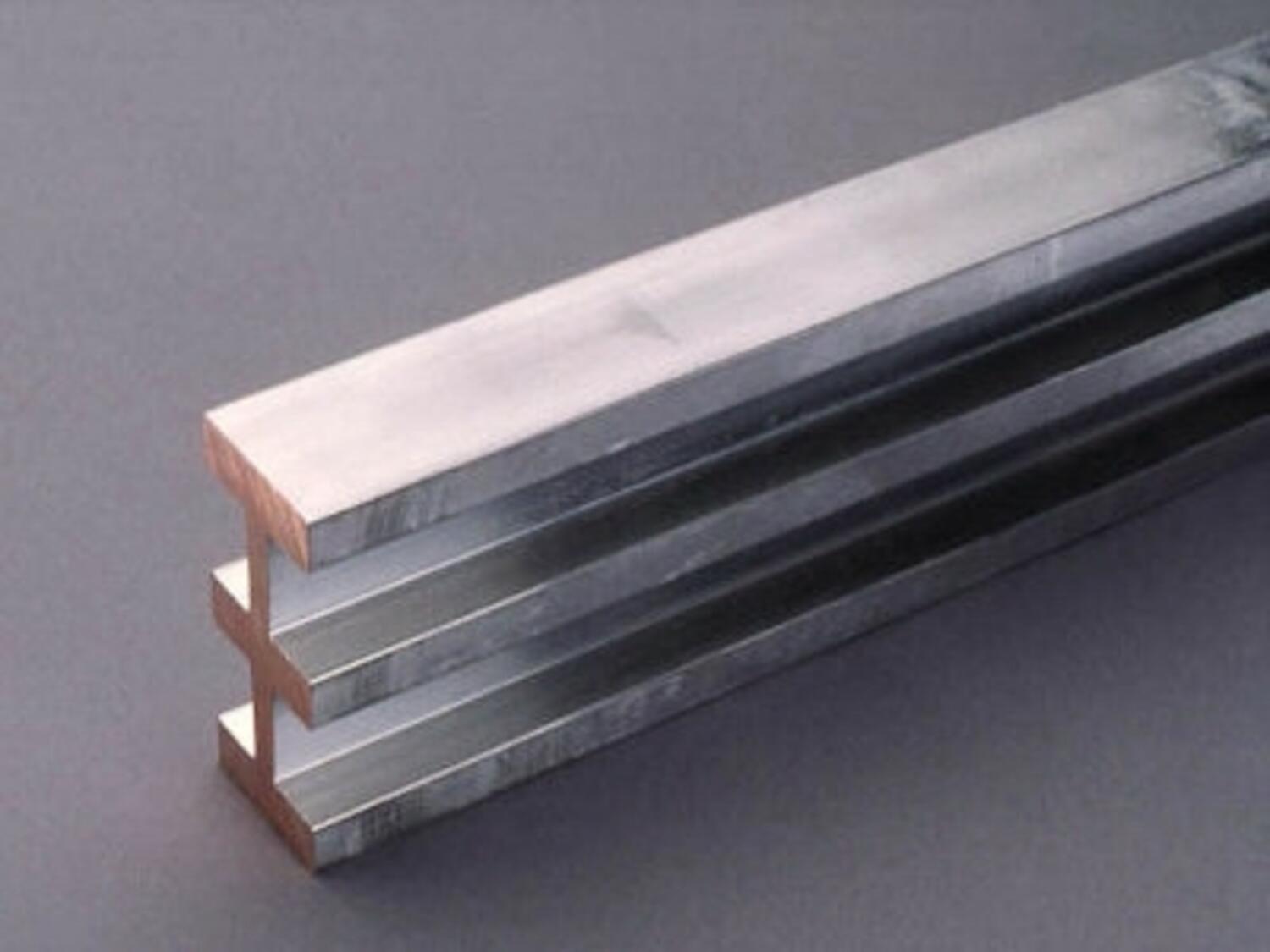 Specialprofil skena.jpg