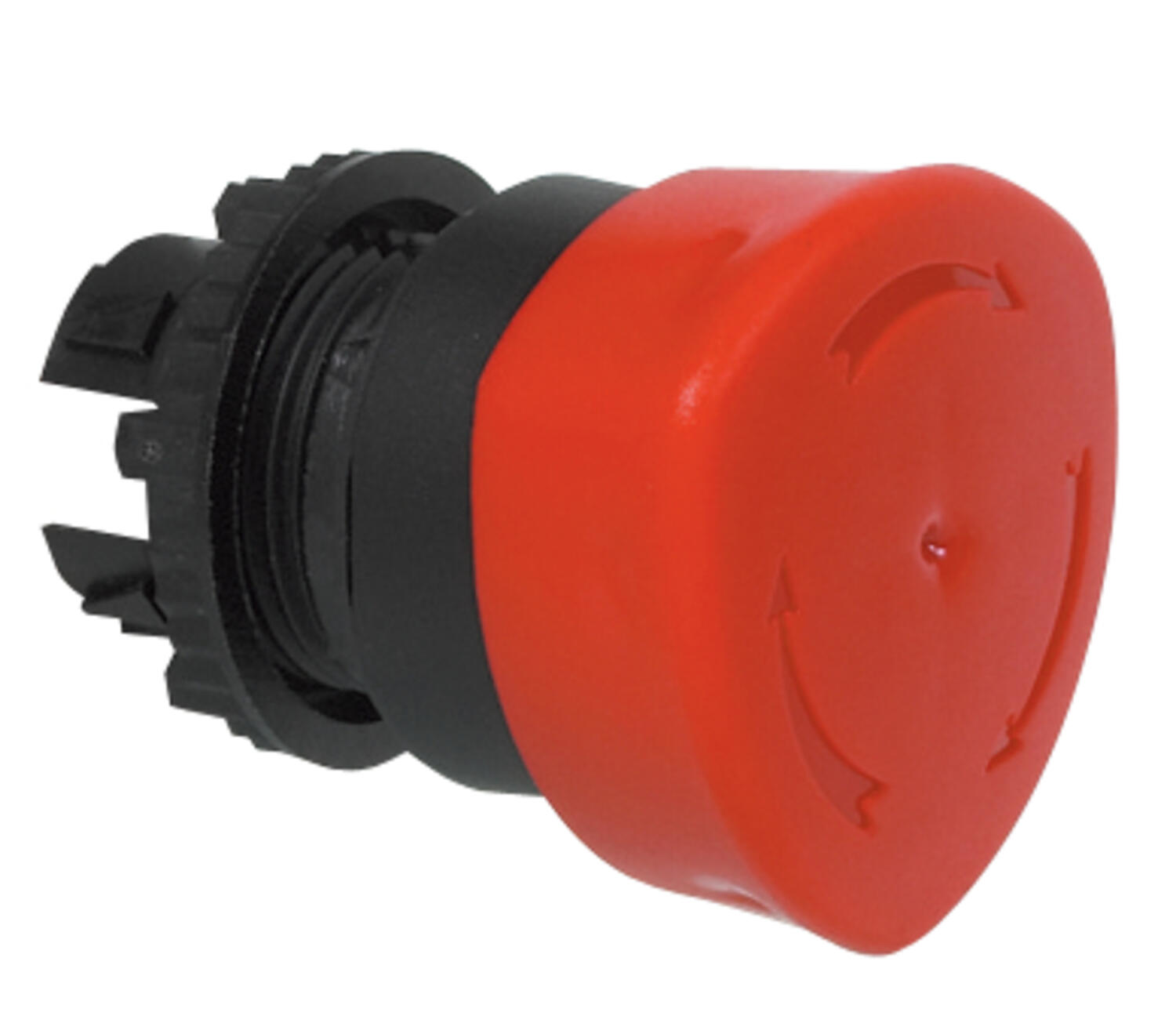 Sponge snap unlighted 