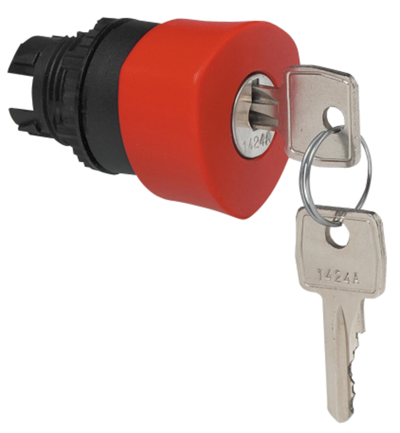 Sponge snap unlighted 