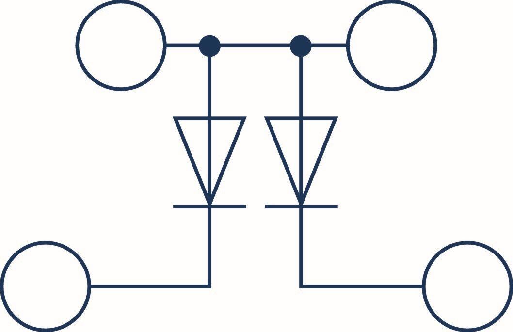 Diagram of an electrical circuit with diodes and connections, designed for industrial use.